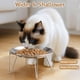 thumbnail image 3 of Cuencos de comida para gatos Wellbro de acero inoxidable, 250 ml (2 platos), 3 of 6