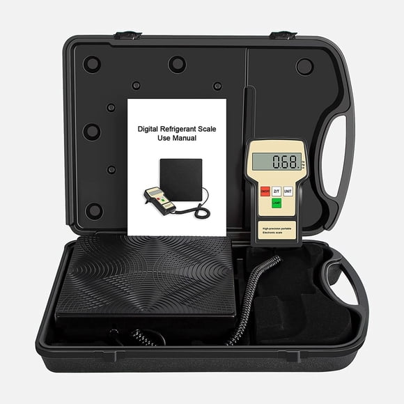 Pesa Electronica 100Kg LONGTERM