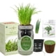 thumbnail image 2 of Kit de cultivo hidropónico de cebollín para interiores Environet, 2 of 9