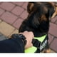 thumbnail image 2 of Arnés para perros K9 Militar XL, 2 of 3