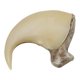 thumbnail image 1 of Figura de juguete Skulls Unlimited – Garra de puma de 6,5 cm, 1 of 2