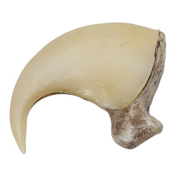 Figura de juguete Skulls Unlimited – Garra de puma de 6,5 cm