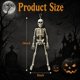 thumbnail image 3 of Figuritas Jiesiity Halloween de 41 cm – Pack de 10 esqueletos, 3 of 9