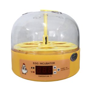 Ioensy - Incubadora Automática De Huevos, Máquina De Incubación Para Niños Con Pájaros Y Patos Giratorios