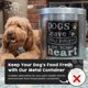 thumbnail image 2 of Contenedor de Alimento para Mascotas The PetSteel Grande 50 lb Plateado, 2 of 6