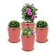 thumbnail image 3 of Set de 4 Macetas Zaia 15 cm Rosa Alegre y sus platos, 3 of 3
