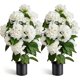 thumbnail image 1 of Árbol de hortensias artificiales de 30 pulgadas para exterior, 1 of 3