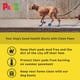 thumbnail image 3 of Botas para perros Protex PawZ de goma para todo tipo de clima, impermeables, negras, 3 of 7