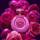 thumbnail image 2 of Perfume GUESS La Mia Bella Vita Eau de Parfum para mujer, 30 ml, 2 of 5