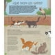 thumbnail image 3 of Un mundo de gatos de Editorial Contrapunto, 3 of 6