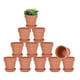 thumbnail image 1 of Macetas de barro Vensovo de 3" de terracota, paquete de 12 con plato, 1 of 7