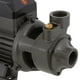 thumbnail image 4 of Bomba Superficie Periférica 1HP QB80B, 4 of 5