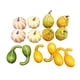 thumbnail image 4 of Calabazas Artificiales De Cosecha, Modelo Vegetal De Halloween, Colores Surtidos Duraderos, Estilo E, 4 of 5