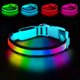 thumbnail image 1 of Collar LED para perro PWOD, talla grande, azul, impermeable RGB, 1 of 7
