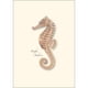 thumbnail image 3 of Juego de tarjetas de notas Earth Sky + Water – 8 unidades (9 cm × 13 cm), 3 of 4