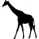 thumbnail image 1 of Decomural Giraffe African Animals Pack WS-33193, 1 of 2