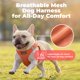thumbnail image 5 of Arnés para Perro Best Pet Supplies Talla Grande Naranja con Malla de Aire, 5 of 8