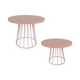 thumbnail image 1 of Bandeja De Almacenamiento De Hierro De 2 Piezas, Plato Redondo Decorativo Para Hotel, Boda, Café, Rosa, 1 of 5