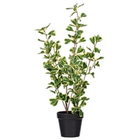 Planta Artificial Vickerman, Triángulo Abigarrado, Ficus, 24 Pulgadas