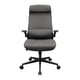 thumbnail image 1 of Silla Gamer Cougar Stryder Gray, 1 of 5