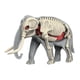 thumbnail image 3 of Modelo De Cuerpo Animal Para El Aprendizaje, Material Didáctico Para Niños Que Estudian En Casa (3109), 3 of 5