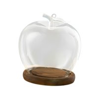 Bothyi - Tarro De Cristal Transparente Con Forma De Cúpula, Vacío, Para Decoración Del Hogar, Arreglos Florales, Mesa, Estante, Café