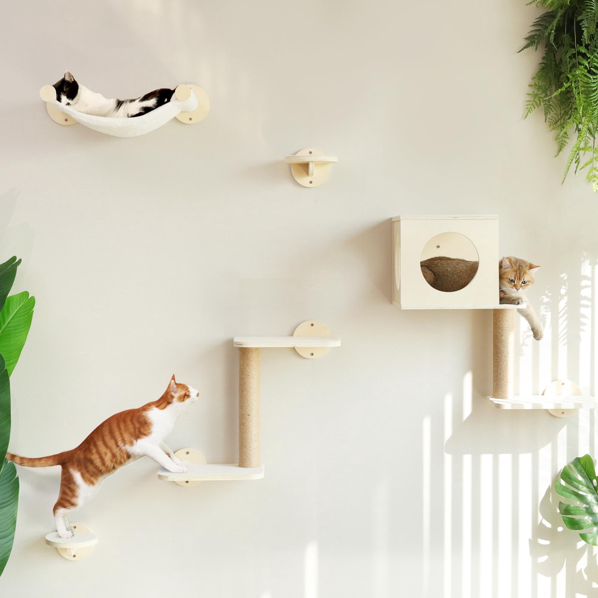 Estantes De Pared Para Gatos Fukumaru Set De 5 Piezas De Madera Con Hamaca Beige