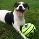thumbnail image 3 of Juguete Pelota Con Sonidos Para Perros Mascotas, 3 of 3