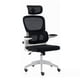 thumbnail image 1 of Silla De Escritorio Ergonómica Negro Be Design Pro-Soporte Lumbar, Malla,100Kg, 1 of 8