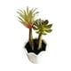 thumbnail image 3 of Suculentas Artificiales Con Macetero. Pack De 3. Decoracion verde, 3 of 4