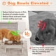 thumbnail image 4 of Cuencos elevados para perros, estilo Piskyet Farmhouse, con 2 cuencos de acero inoxidable, 4 of 7
