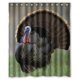 thumbnail image 1 of Cortina de ducha de pavo real con ganchos, tamaño 60 x 72 pulgadas, 1 of 3