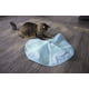 thumbnail image 4 of Juguete para gatos SmartyKat Hot Pursuit Electronic Motion Blue, 4 of 8