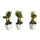 thumbnail image 1 of Suculentas Artificiales Con Macetero. Pack De 3. Decoracion verde, 1 of 4