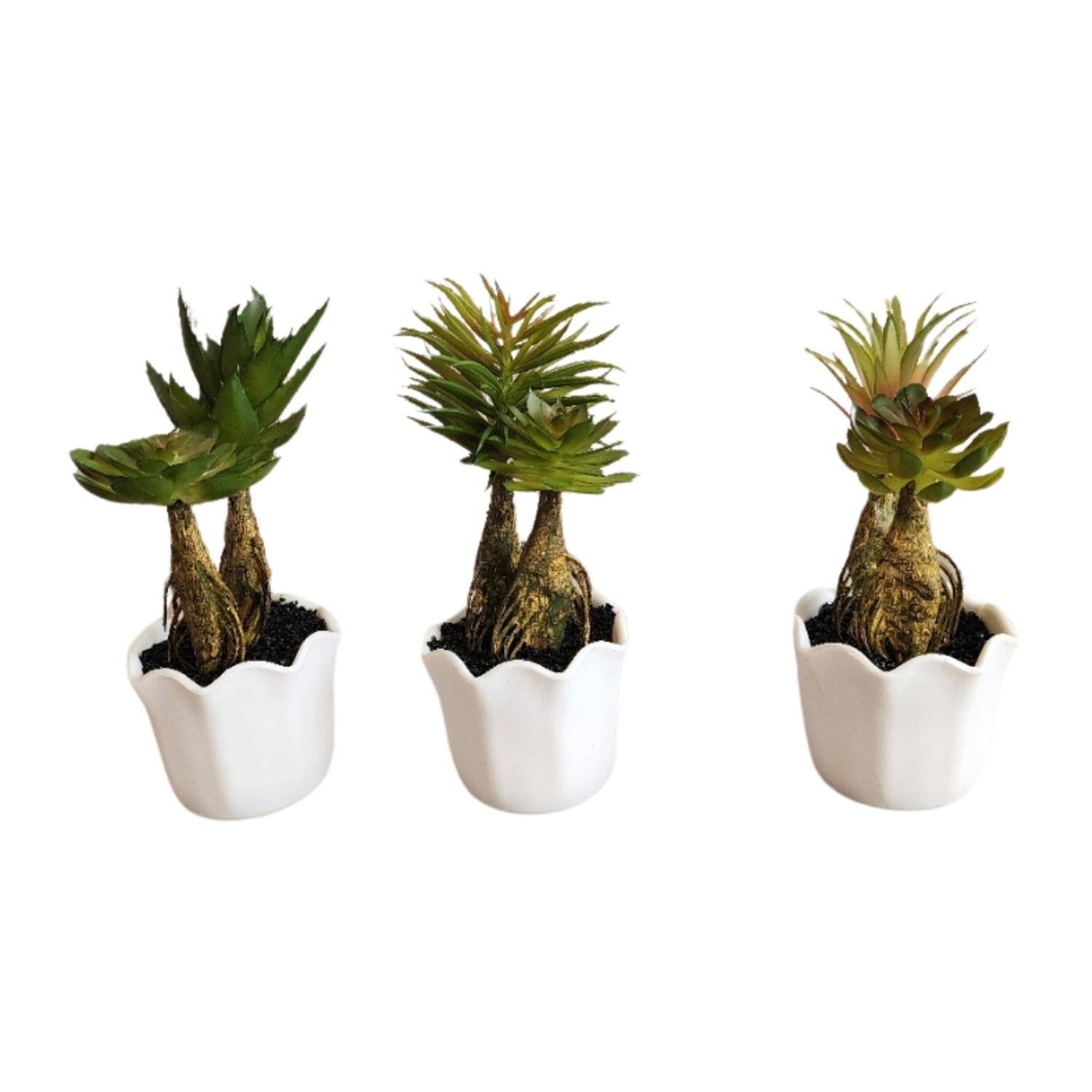 Mobii - Suculentas Artificiales Con Macetero. Pack De 3. Decoracion