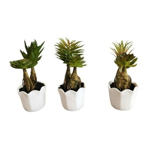 Mobii - Suculentas Artificiales Con Macetero. Pack De 3. Decoracion Verde