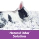 thumbnail image 3 of Ropa de cama Kaytee Clean & Cozy Lavender de 49,2 litros para mascotas pequeñas, 3 of 7