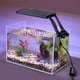 thumbnail image 1 of Luz LED para Acuario hygger Clip On Iluminación 24/7 12W 18-25cm, 1 of 7