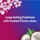 thumbnail image 3 of Toallitas Clorox Scentiva 75 ct Elimina 99,9 %, 3 of 3