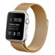 thumbnail image 3 of Correa Compatible con Apple Watch Magnética 38/40mm Dorada, 3 of 3