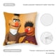 thumbnail image 5 of Bert Fundas de almohada de terciopelo con tema, regalos de funda de almohada, decoración para el hogar, cojín de lanzar, regalo de cumpleaños para fans y parejas. 60cm x 60cm., 5 of 6