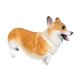 thumbnail image 4 of Figura De Perro De Juguete, Juguetes Educativos, Figura De Corgi Para Regalo, Juguetes De Cumplea?os Para Ni?os, Amarillo, 4 of 5