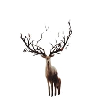 Genérico - Cortina Para Baño Con Forro De Ducha 180 Cm L38