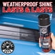 thumbnail image 4 of Tire Shine Chemical Guys Nice and Wet (aerosol), paquete de 2, 4 of 9