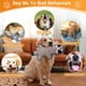 thumbnail image 3 of Dog Toys Eneston, paquete de 5 unidades, sin relleno, para perros grandes, 3 of 7