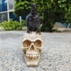 thumbnail image 2 of 1pc Crow Skull Ornament, Halloween Gift, Animal Skull Living Room Yard Decoration, Bar Crafts Resin Skull Skull, Antique Distressed,Halloween Room Decor Goth,ghost Face, 2 of 4