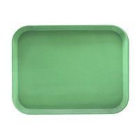 Imahe - Bandeja Fibra De Vidrio 35 X 45 Cm Verde Pistacho