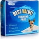 thumbnail image 1 of Best Value Traning Pads Sabanilla X 200 Unidades, 1 of 8