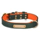 thumbnail image 5 of Collar De Perro Personalizable Con Etiqueta De Nombre Personalizada Para Animales De Interior, Gatos, Cachorros, Verde, XL, 5 of 5