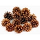 thumbnail image 1 of Piñas navideñas naturales a granel para decoración del hogar, adornos de otoño para árbol de Navidad, paquete de 30, 1 of 6